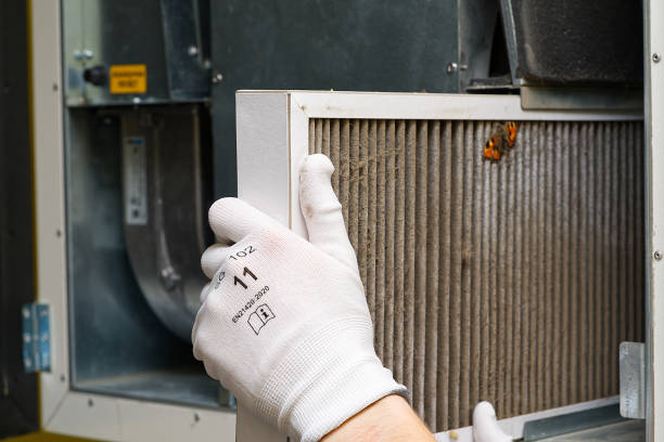 Air Duct Mold Removal in Folsom, NJ